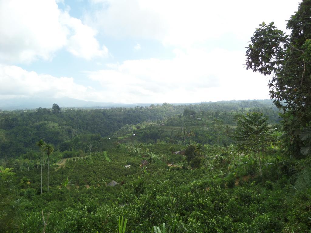 Villa Senetan And Ubud